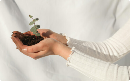 Sustainability