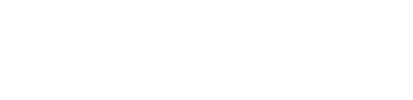 Logo white